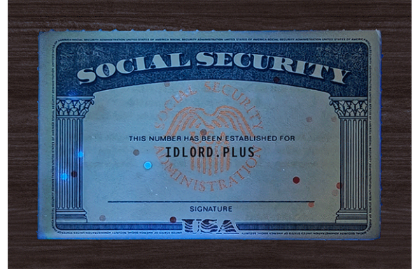 SSN Card