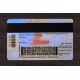 Texas Fake Dirvers Licence Texas Fake Dirvers Licence