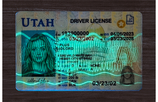 Utah Fake Dirvers Licence Utah Fake Dirvers Licence