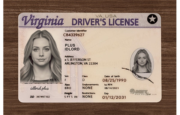 Virginia Fake Dirvers Licence