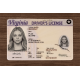 Virginia Fake Dirvers Licence Virginia Fake Dirvers Licence
