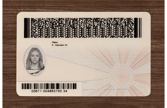 Virginia Fake Dirvers Licence Virginia Fake Dirvers Licence