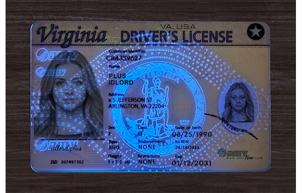 Virginia Fake Dirvers Licence