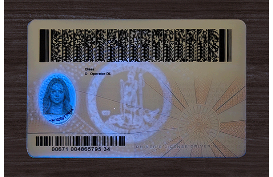 Virginia Fake Dirvers Licence Virginia Fake Dirvers Licence