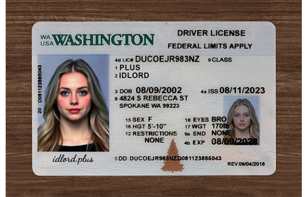 Washington Fake Dirvers Licence