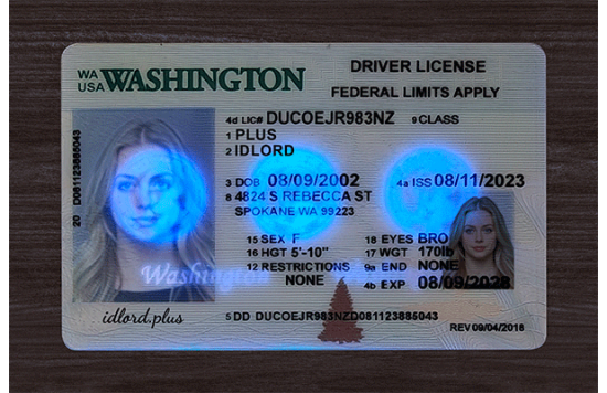 Washington Fake Dirvers Licence Washington Fake Dirvers Licence