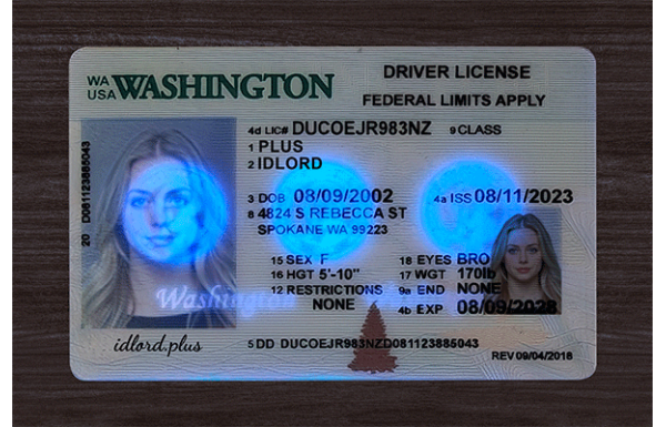 Washington Fake Dirvers Licence