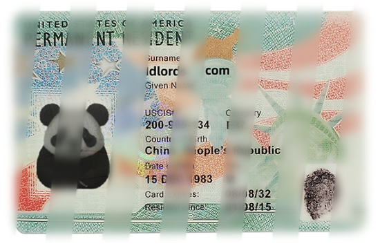 American Green Card Green Card Fake id front side